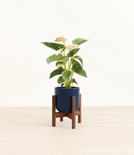 Load image into Gallery viewer, Twilight Blue stand:walnut