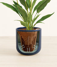 Load image into Gallery viewer, Twilight Blue stand:all