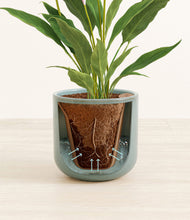 Load image into Gallery viewer, Reactive Aqua stand:all