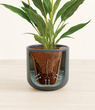 Load image into Gallery viewer, Iron Gray stand:all