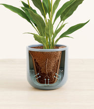 Load image into Gallery viewer, Misty Blue stand:all