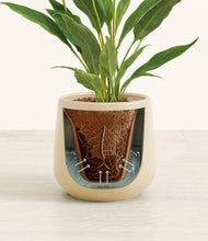 Load image into Gallery viewer, Almond Green stand:all