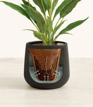 Load image into Gallery viewer, Black stand:all