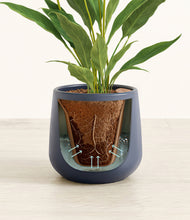 Load image into Gallery viewer, Deep Navy stand:all