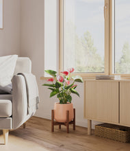 Load image into Gallery viewer, Calm Rose stand:walnut