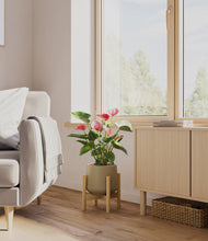 Load image into Gallery viewer, Olive stand:bamboo