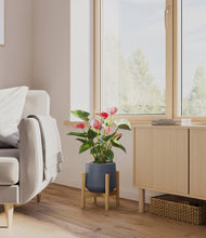 Load image into Gallery viewer, Deep Navy stand:bamboo