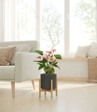 Load image into Gallery viewer, Dark Olive stand:bamboo