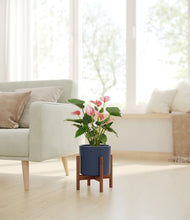 Load image into Gallery viewer, Deep Navy stand:walnut