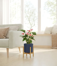 Load image into Gallery viewer, Deep Navy stand:bamboo