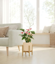 Load image into Gallery viewer, Cream stand:bamboo