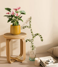 Load image into Gallery viewer, Mustard