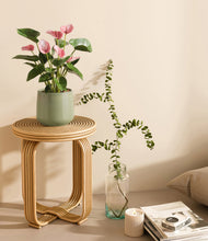 Load image into Gallery viewer, Turquoise