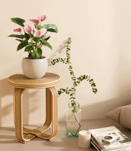 Load image into Gallery viewer, Shiny EggWhite