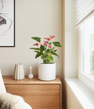 Load image into Gallery viewer, White