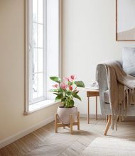 Load image into Gallery viewer, Desert Brown