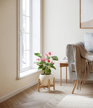 Load image into Gallery viewer, Shiny EggWhite