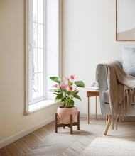 Load image into Gallery viewer, Calm Rose