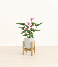 Lade das Bild in den Galerie-Viewer, Hammered Ivory stand:bamboo