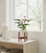 Lade das Bild in den Galerie-Viewer, Snowdrift White stand:walnut