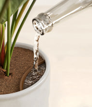 Load image into Gallery viewer, Hammered Ivory stand:all