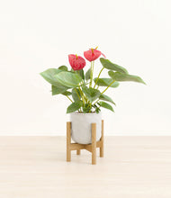 Load image into Gallery viewer, Hammered Ivory stand:bamboo