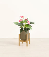 Load image into Gallery viewer, Olive stand:bamboo