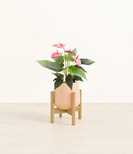 Load image into Gallery viewer, Gentle Pink stand:bamboo