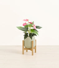 Load image into Gallery viewer, Turquoise stand:bamboo