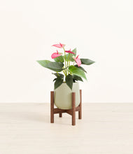 Load image into Gallery viewer, Turquoise stand:walnut