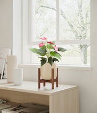Load image into Gallery viewer, Almond Green stand:walnut