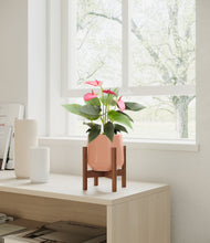 Load image into Gallery viewer, Calm Rose stand:walnut