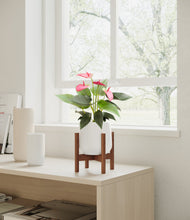 Load image into Gallery viewer, White stand:walnut