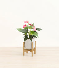 Load image into Gallery viewer, Hammered Ivory stand:bamboo