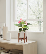 Load image into Gallery viewer, Snowdrift White stand:walnut