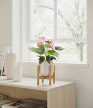 Load image into Gallery viewer, Snowdrift White stand:bamboo