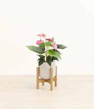 Load image into Gallery viewer, Snowdrift White stand:bamboo