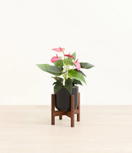 Load image into Gallery viewer, Stone Black stand:walnut