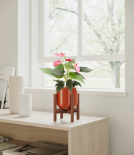 Load image into Gallery viewer, Glossy Red stand:walnut