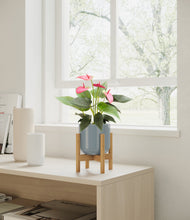 Load image into Gallery viewer, Misty Blue stand:bamboo