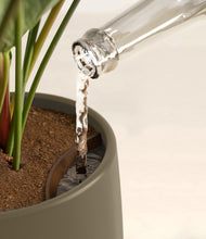Load image into Gallery viewer, Olive stand:all