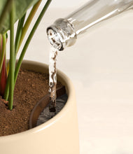 Load image into Gallery viewer, Evening Sky stand:all