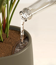 Load image into Gallery viewer, Olive stand:all