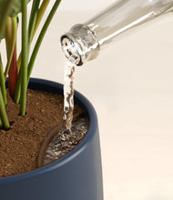 Load image into Gallery viewer, Deep Navy stand:all