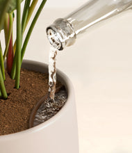 Load image into Gallery viewer, Eternal Gray stand:all