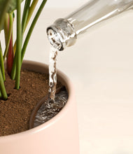 Load image into Gallery viewer, Gentle Pink stand:all