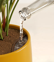 Load image into Gallery viewer, Mustard stand:all