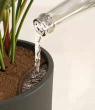 Load image into Gallery viewer, Dark Olive stand:all