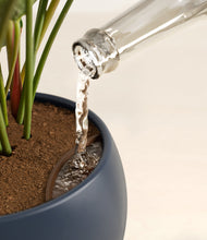 Load image into Gallery viewer, Deep Navy stand:all