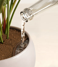 Load image into Gallery viewer, Winter Clouds stand:all